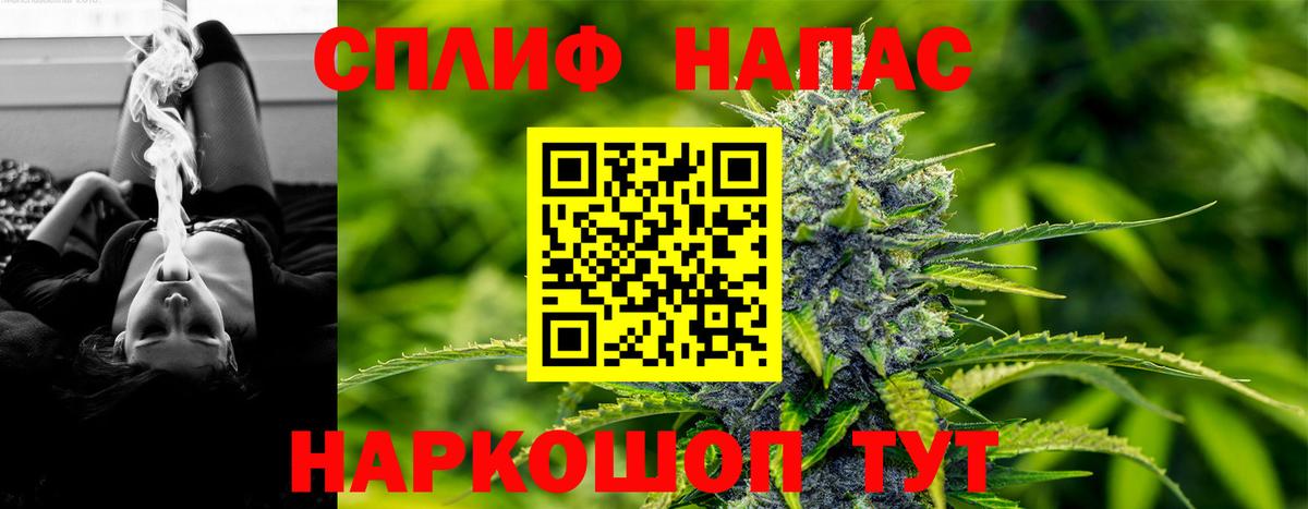 Тара  Бошки марихуана Bruce Banner  Каннабис марихуана  Вход с VPN 